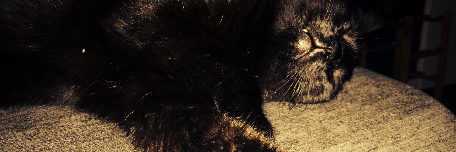 GrandmasterJez's profile banner image
