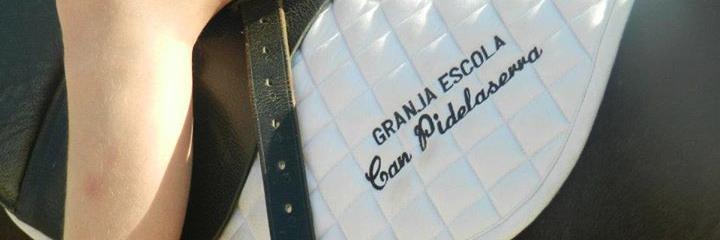CanPidelaserra's profile banner image
