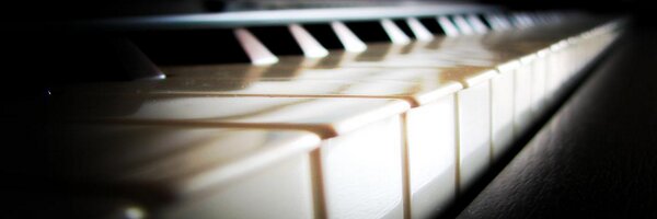 evanolan91 Profile Banner