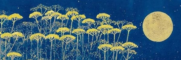SachaDefesche's profile banner image
