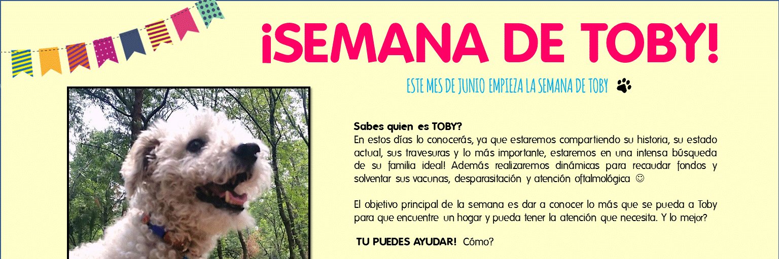 kanisimo_df's profile banner image