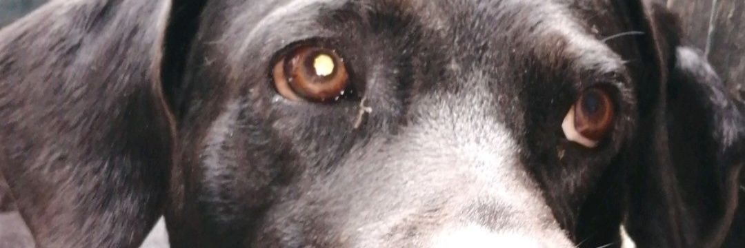 valenn52's profile banner image