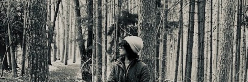 pizzarissa's profile banner image