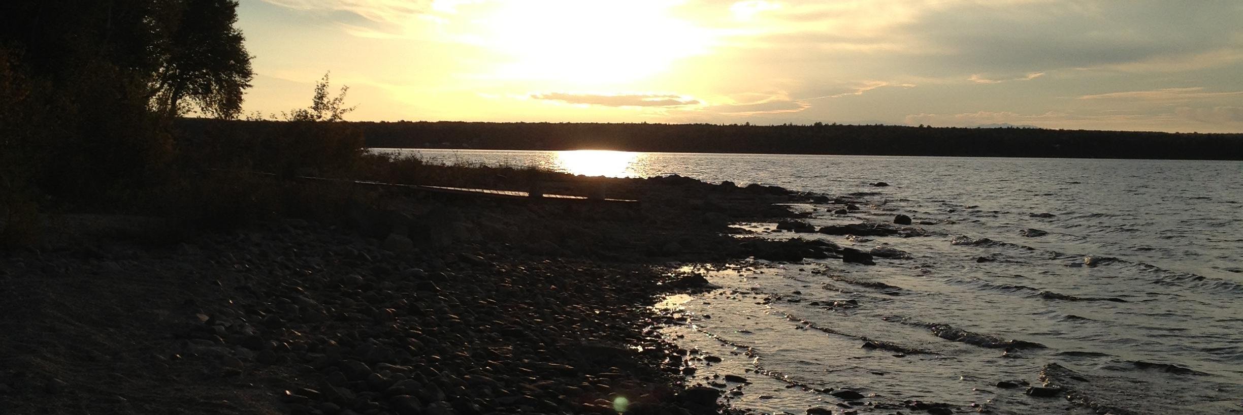MicheleMccleave's profile banner image