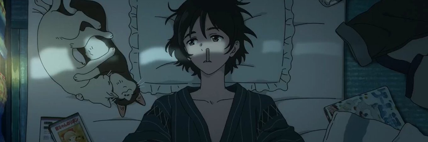 sokuchini's profile banner image