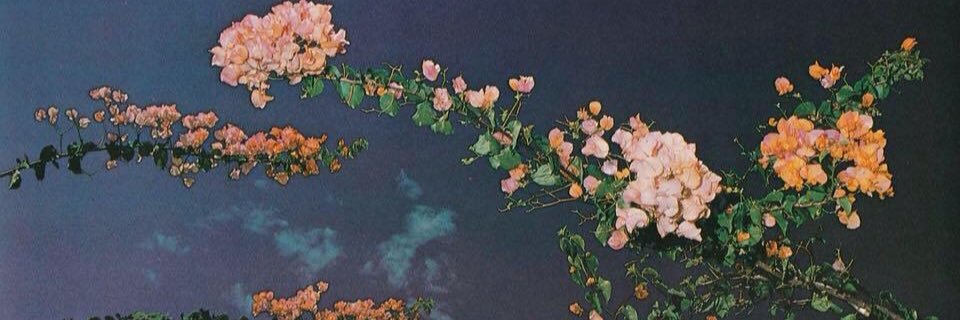 jaredxoxo's profile banner image