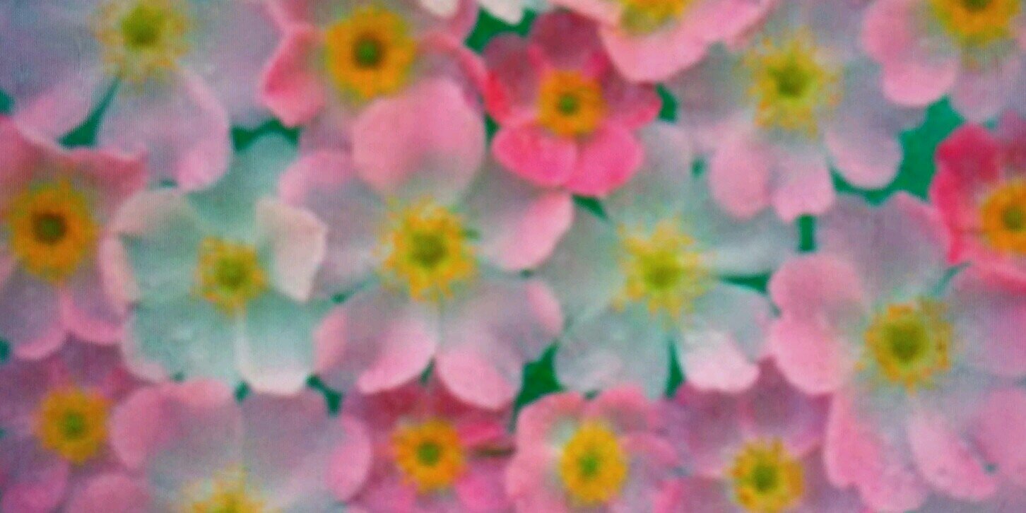 MeganSimpson88's profile banner image