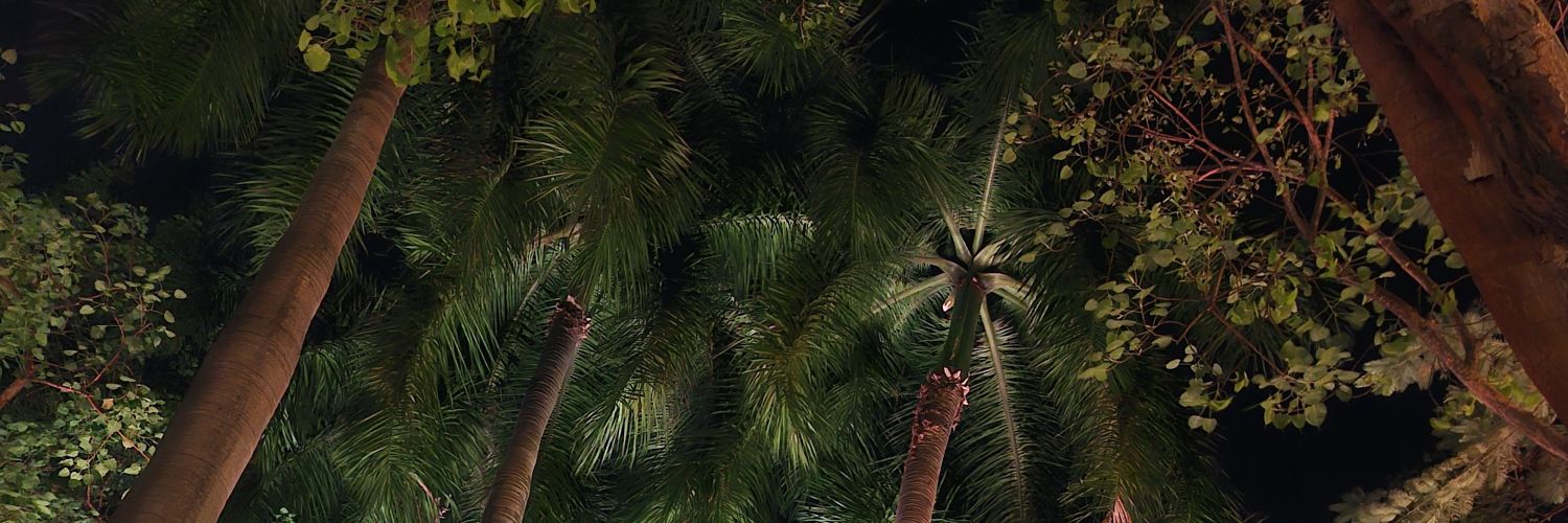 thepatriciar's profile banner image