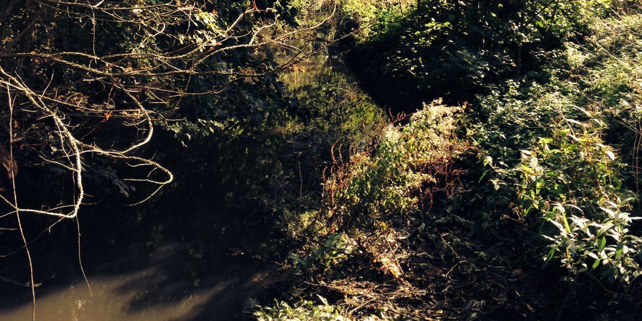 Oliver Sinclair banner