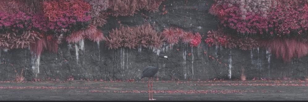 kiimeeraa's profile banner image