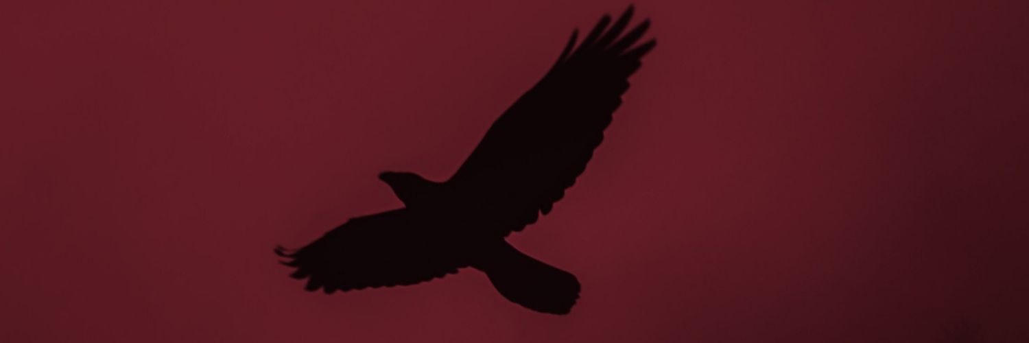 DavidSysig's profile banner image