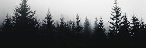 alex_assol's profile banner image