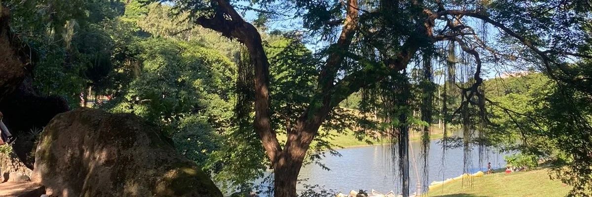 D_s4les's profile banner image