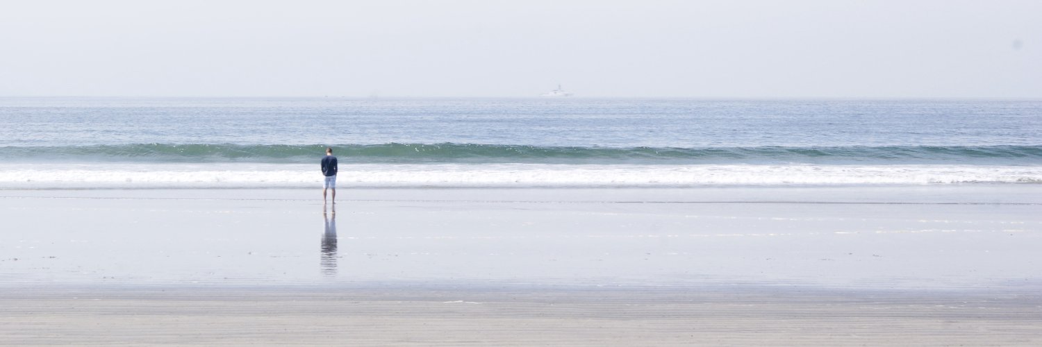 Mark D Taylor banner