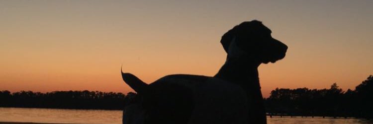 BrownH_10's profile banner image