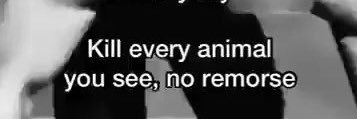 post911genius's profile banner image