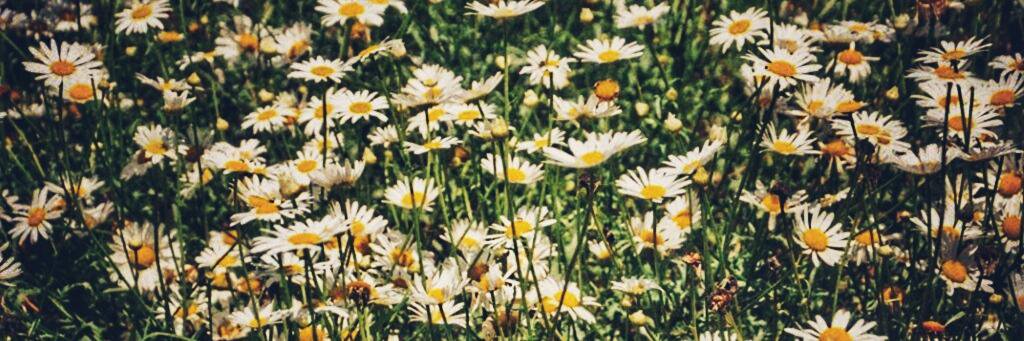 tala_lou's profile banner image