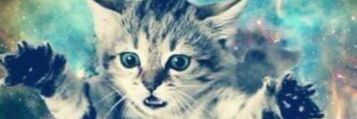 henryhv_'s profile banner image