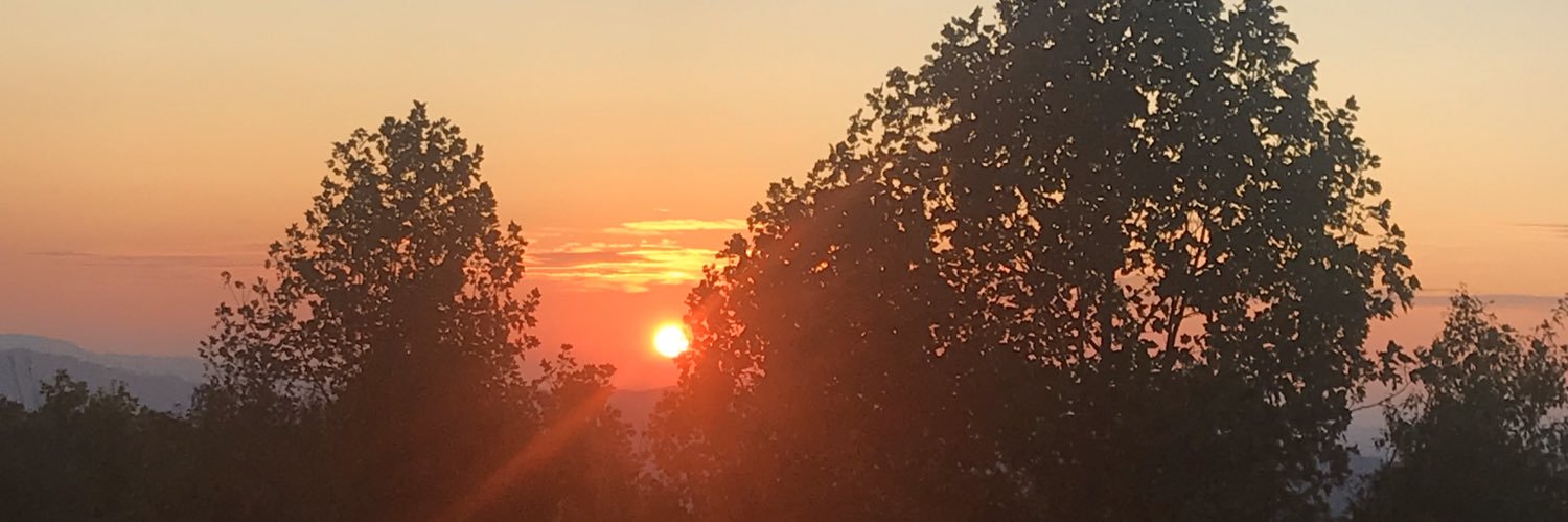 SamSorice's profile banner image