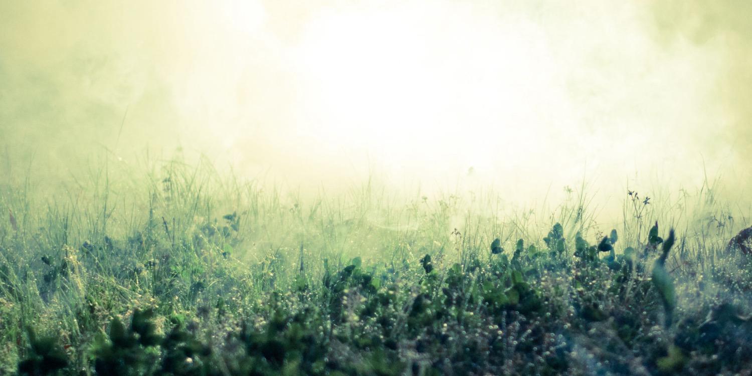 TSLovingDavina's profile banner image