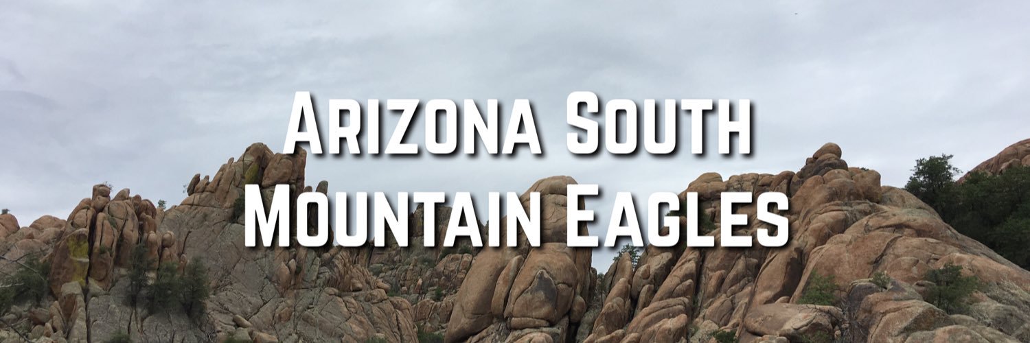 PSMEagles's profile banner image