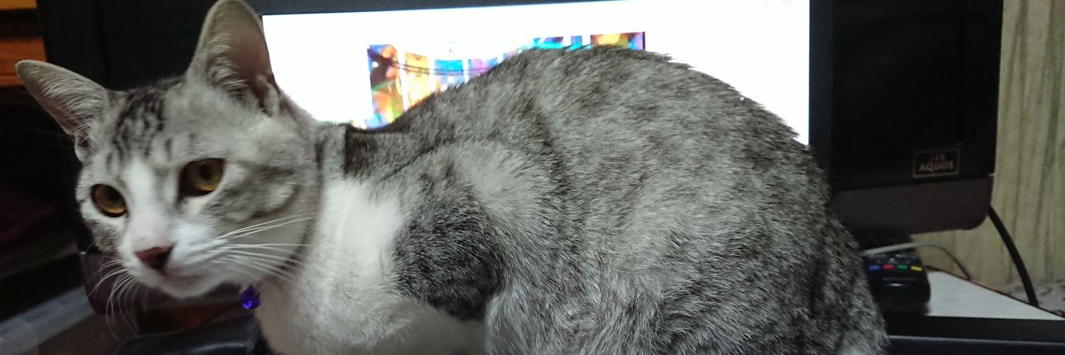 abareUSG's profile banner image