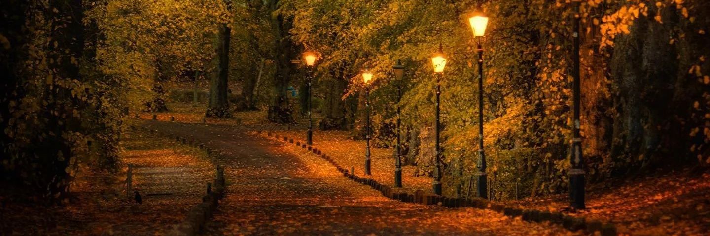 Sarah_TheRanger's profile banner image