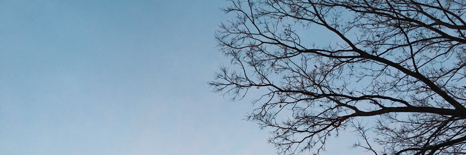 AmandaStofer's profile banner image
