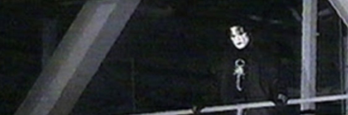 ant banner