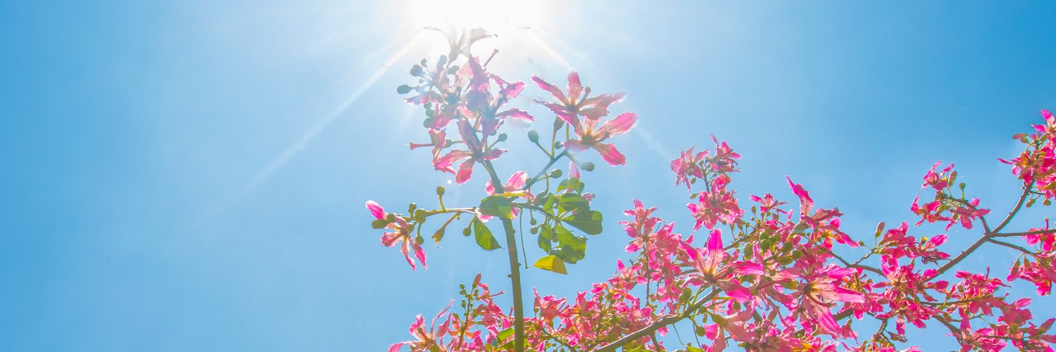 gianna23_'s profile banner image