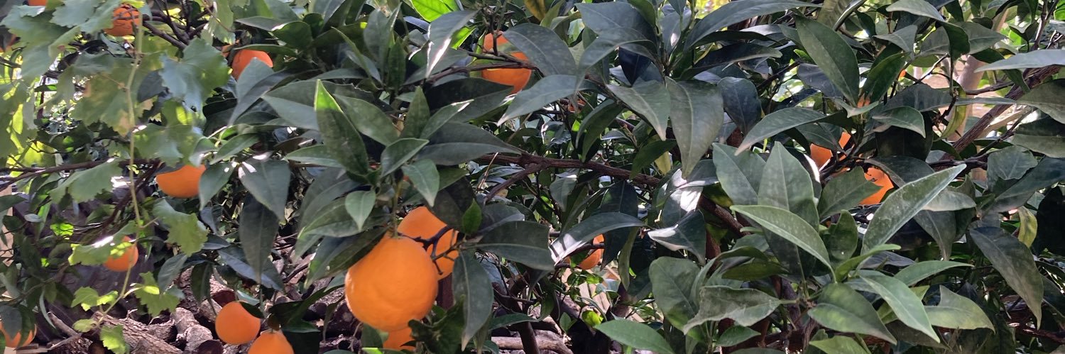 Barbara Błażyńska banner