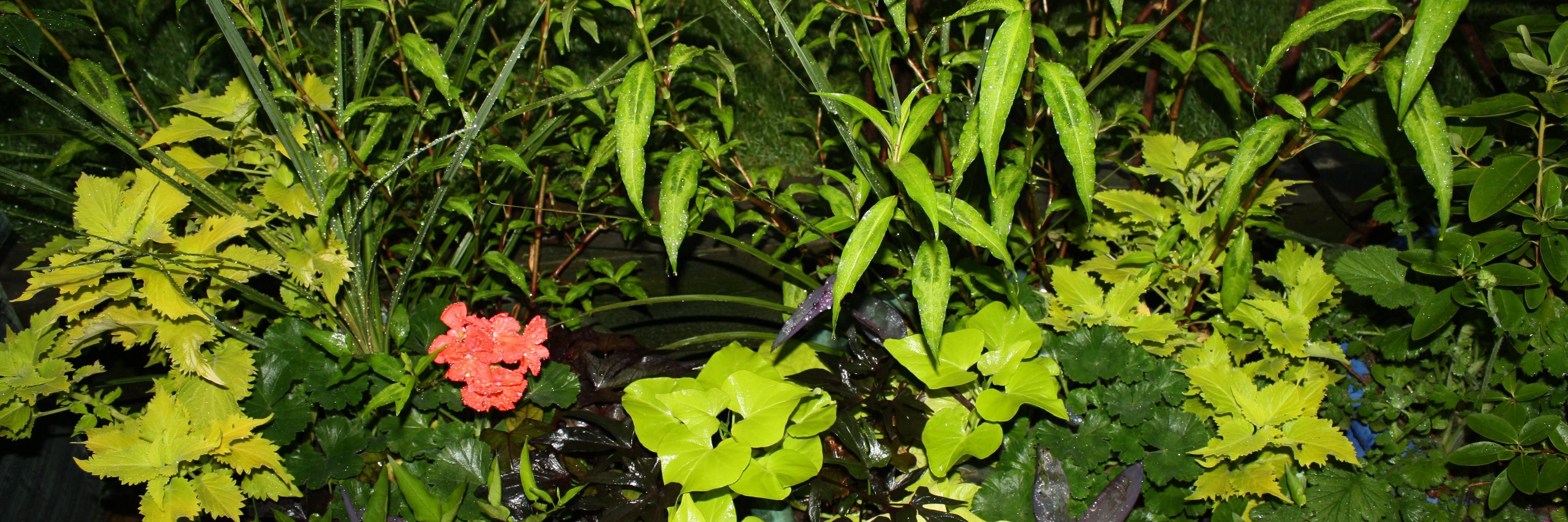 togrambebeau's profile banner image