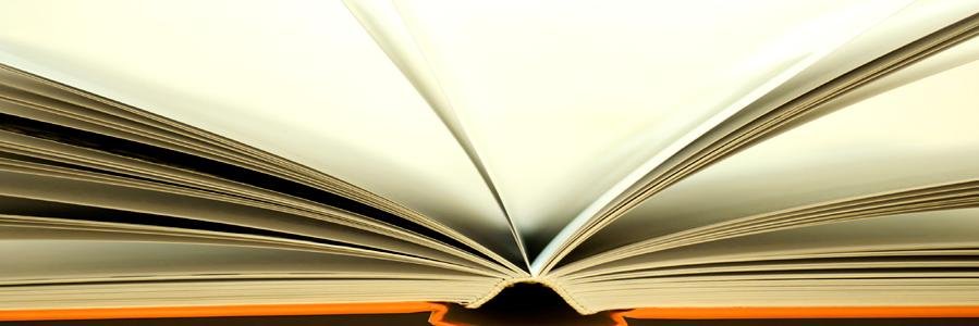 literacylady10's profile banner image