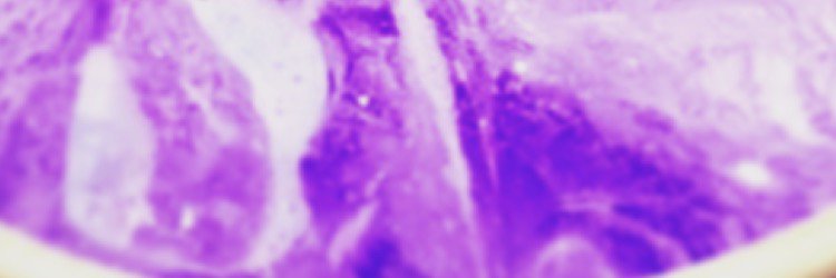 W20K3's profile banner image