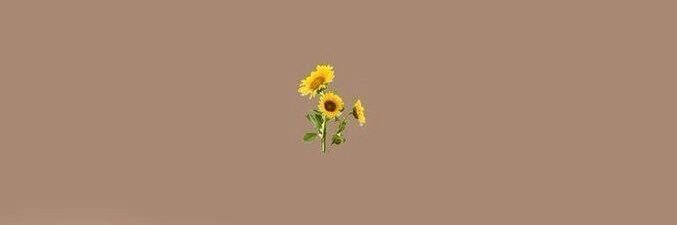tayreneebaker's profile banner image