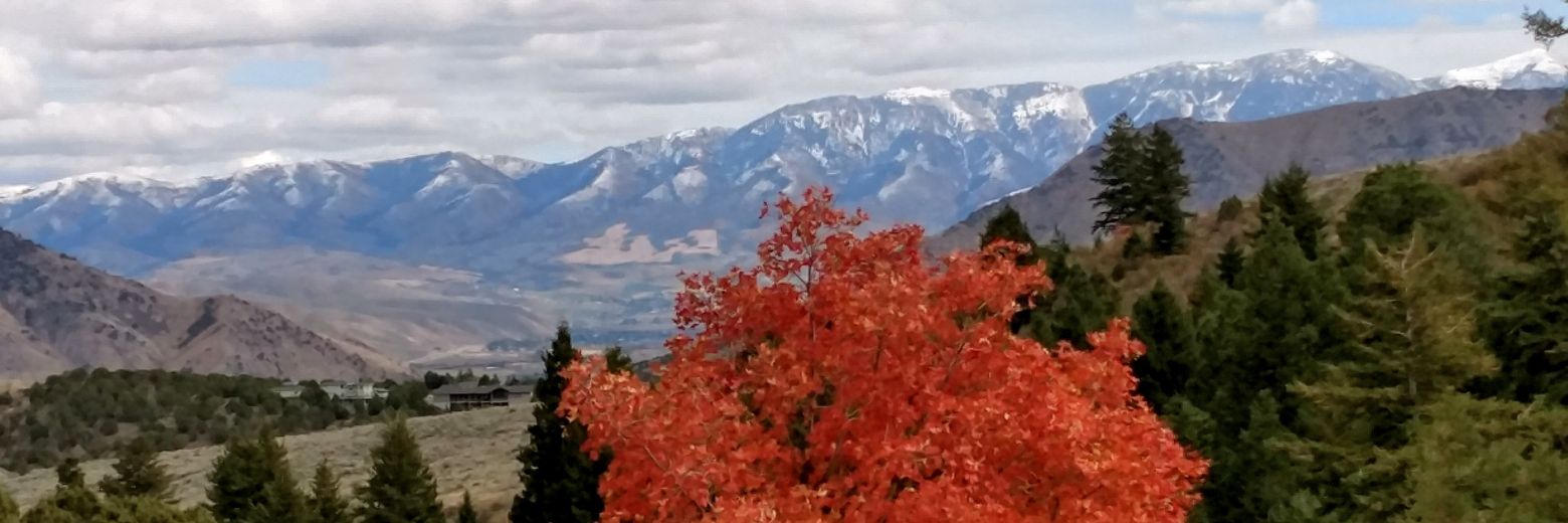 Anna Strimaitis Grinath banner