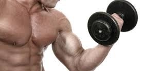 Grid A. Licious banner