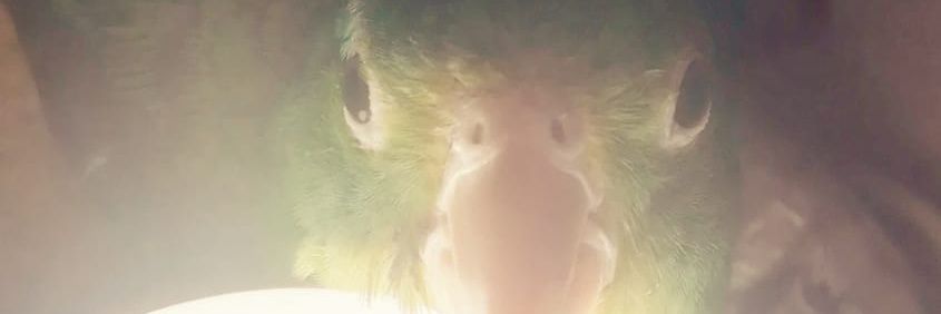 makeweber's profile banner image