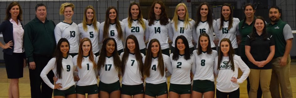 Babson Volleyball banner