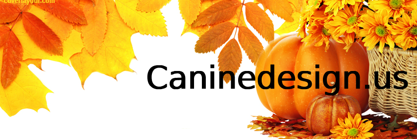 caninedesigncol's profile banner image