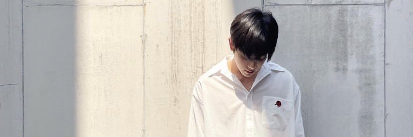 WıαиgPıиg banner