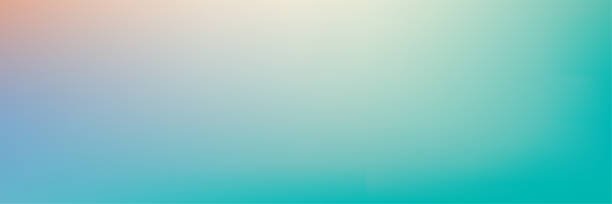 Carol Suh banner