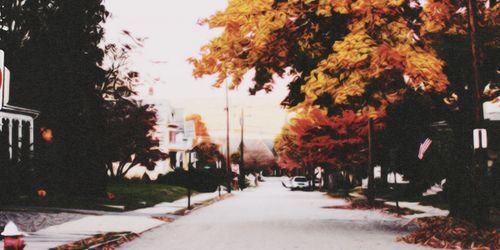 CDFLiliThompson's profile banner image