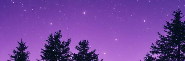 lazypopa Profile Banner