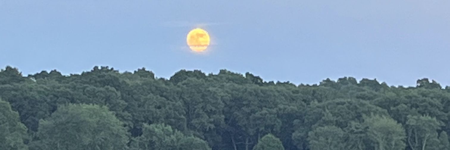 Karl Wikström 🇺🇸 banner