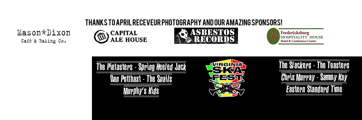 VASkaFest's profile banner image