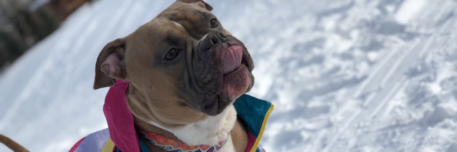 KVEEZY_'s profile banner image