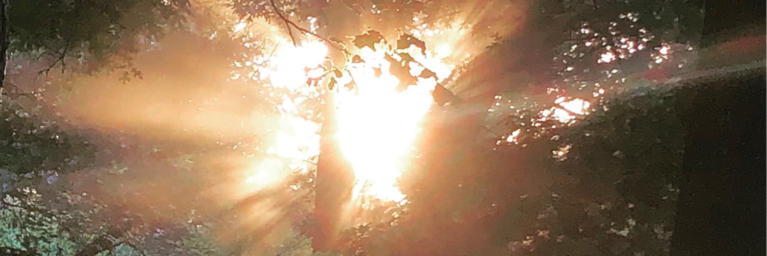 anna_terry_act's profile banner image