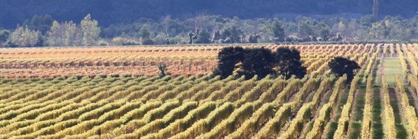 Na Clachan Wine Tour Marlborough Profile Banner