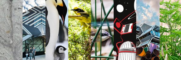 Monash_Science Profile Banner